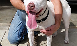 Meet Casper (adopted)