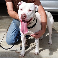 Meet Casper (adopted)