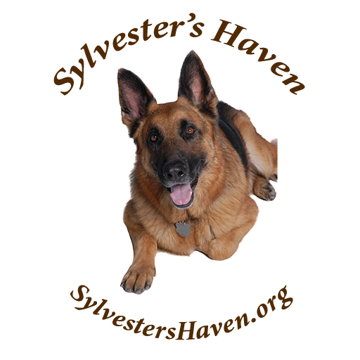 Sylvester's Haven